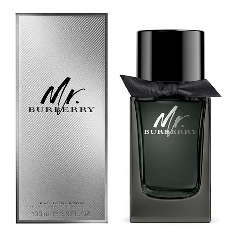 mr burberry parfum review|Burberry perfume for men's price.